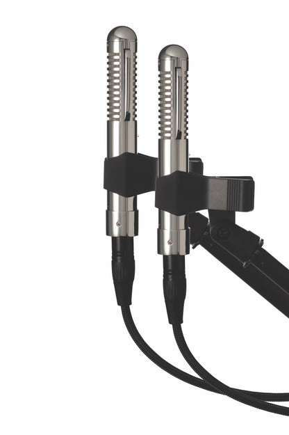 Warm Audio WA-2FT Fen-Tone Instrument Ribbon Microphone With Selectable In-Line Preamp - Stereo Pair